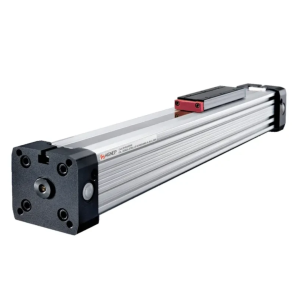 Cilindro aignep sin vastago